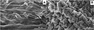 Heterogeneous catalytic oxidation regeneration of desulfurization-rich liquor with Fe3+ modified chitosan